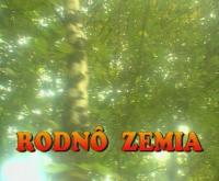 Wywiad dla „Rodny zemi”. Nowe płytki