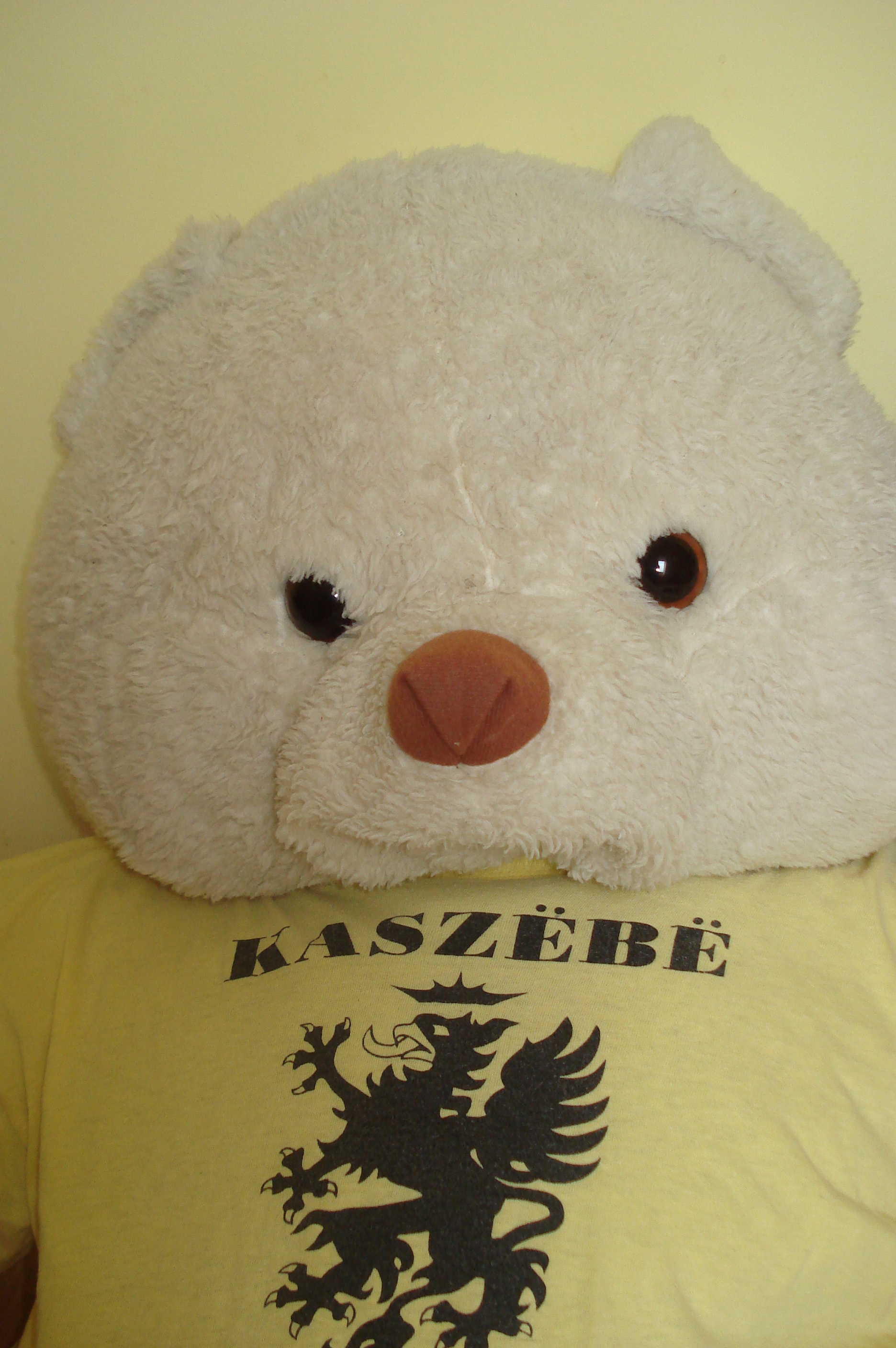 Kaszubska maskotka. Konkurs